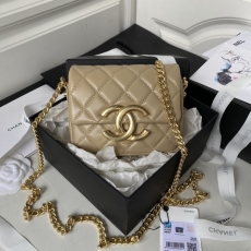 Chanel Stachel Bags